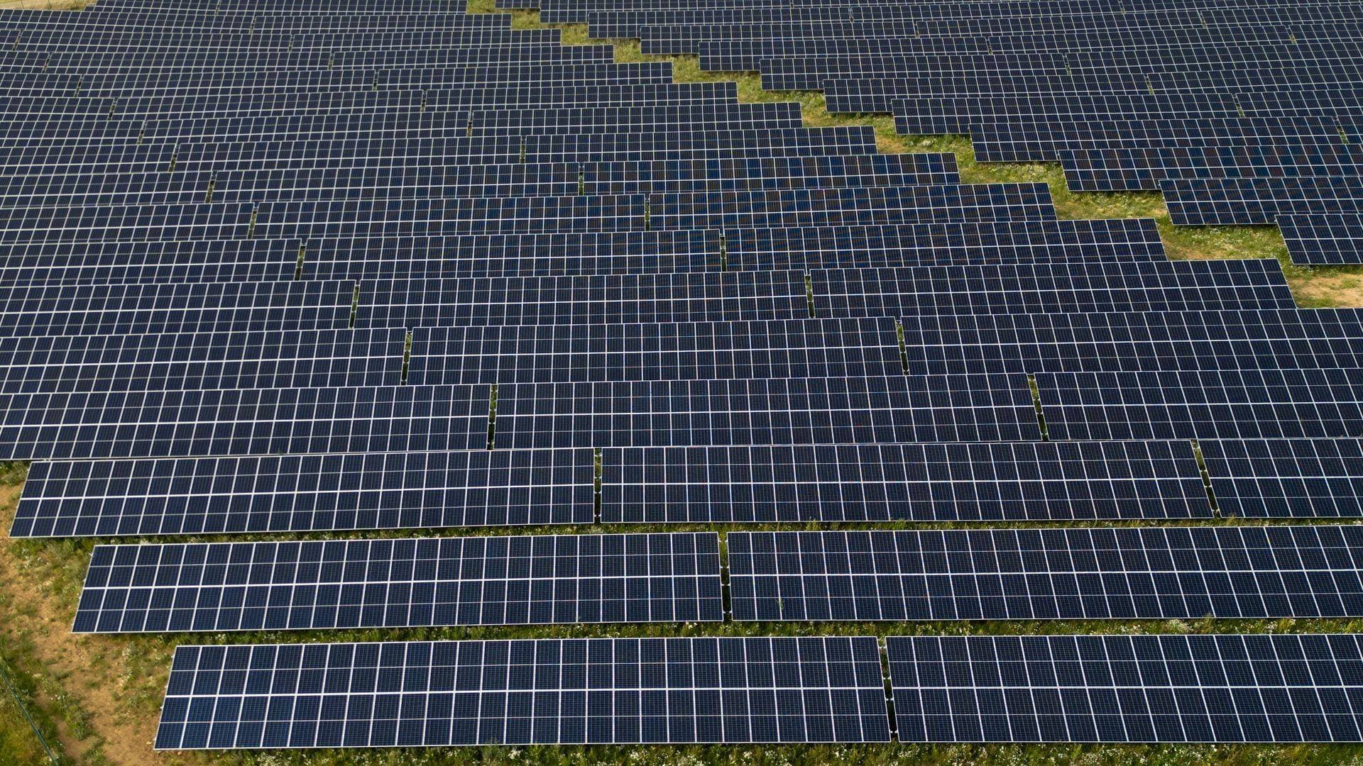 Modulreihen eines Solarparks im flachen Licht — weite Fläche ohne abgreifbaren Stromanschluss, Einsatzort für den Solar-Videoturm